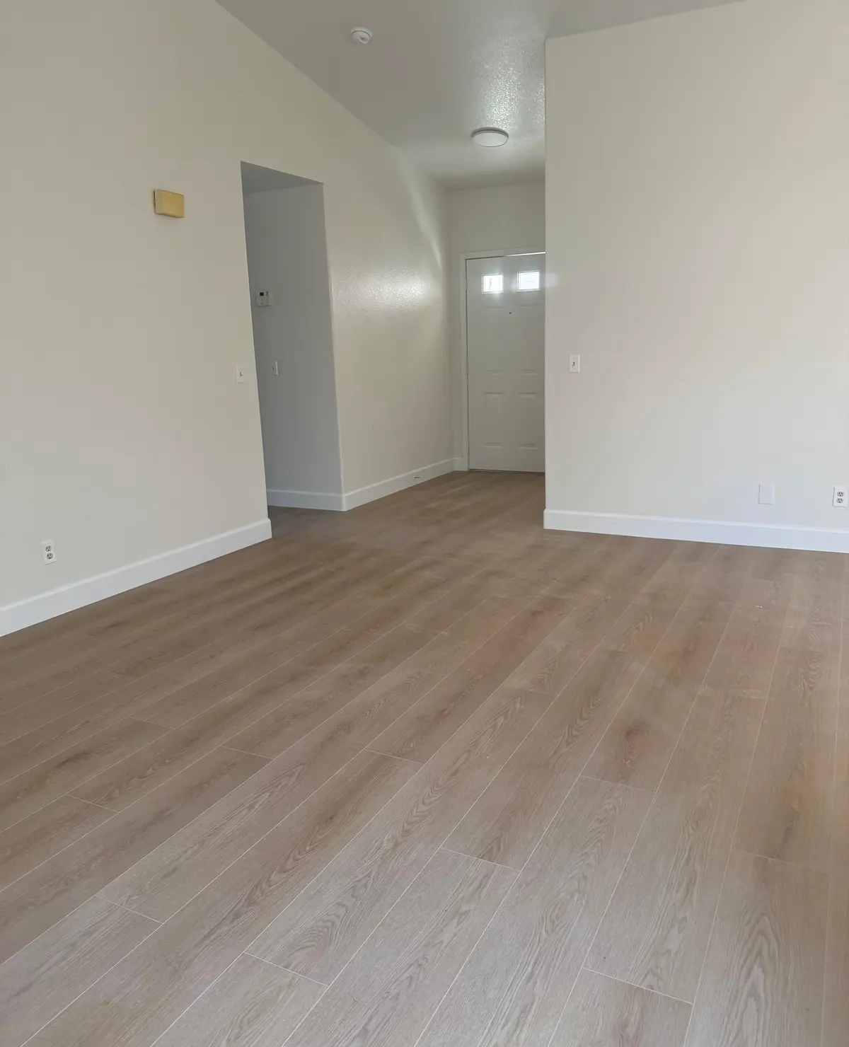 An entry and living room with a light plank floor